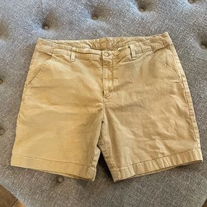Chubbies khaki shorts